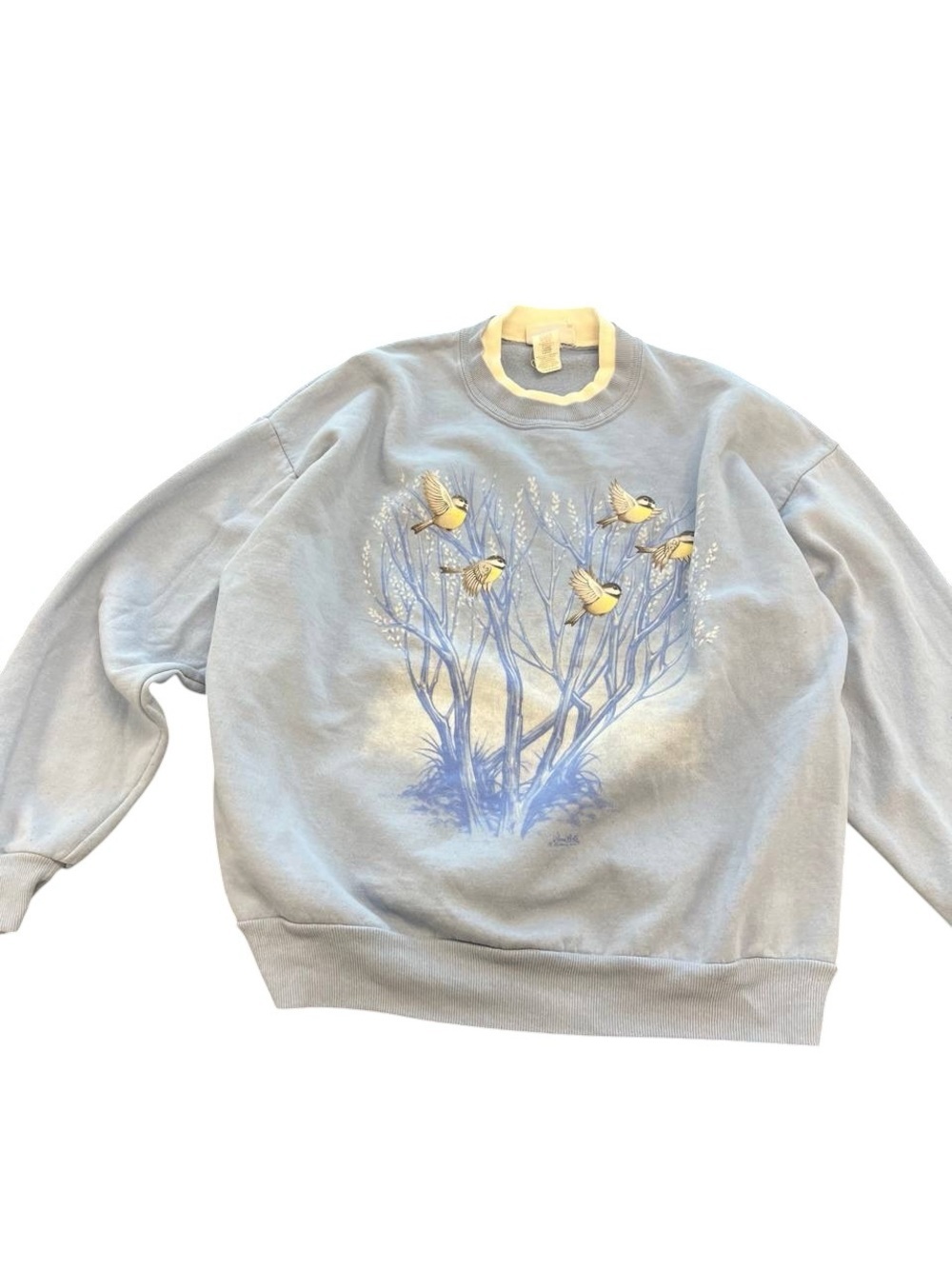 Vintage Bird Sweatshirt 90s Blue Pullover Morning Sun XL Size (01)